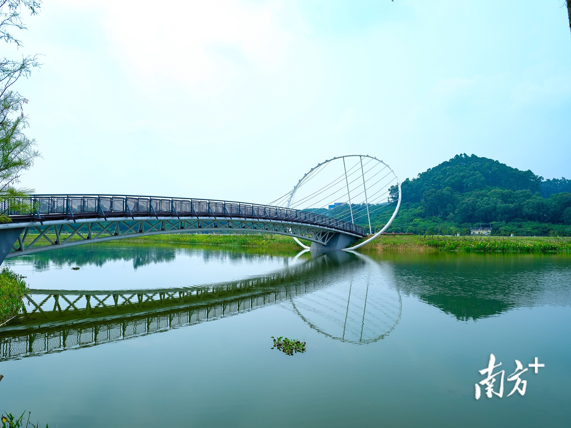 点亮新生活黄江公园新景观成网红打卡点