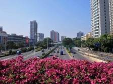 113场活动！中国计算机大会28日在深举行｜大湾区产园速递