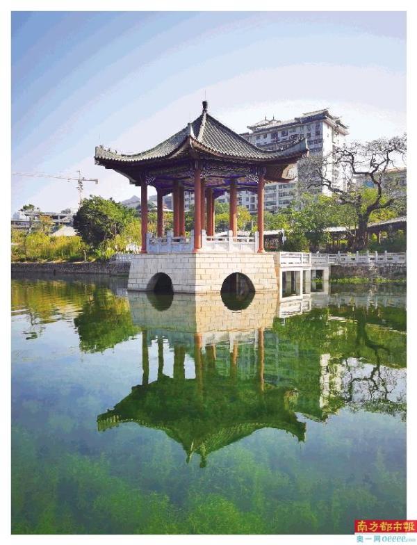西湖湖水清澈，水草丰茂。