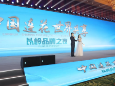 现场直击丨中国连花•世界共享-民族品牌共建项目启动
