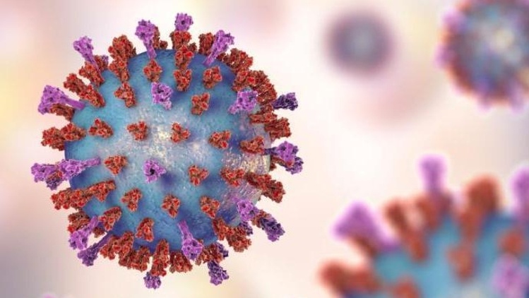 美国家卫生研究院院长：新冠病毒很可能是自然界病毒演化的结果