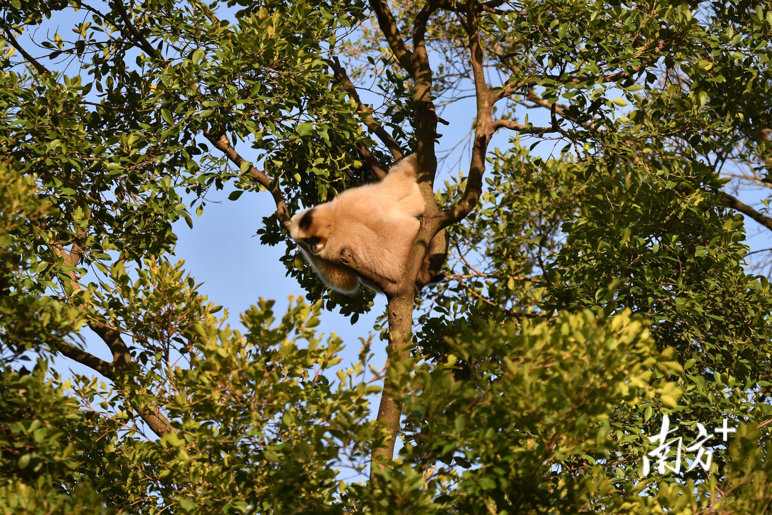    南方+ 朱洪波 拍摄
