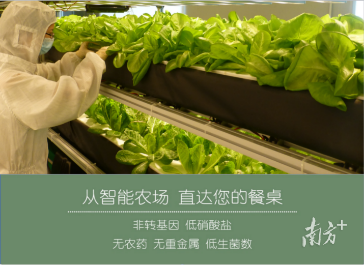 多乐田的太空蔬菜