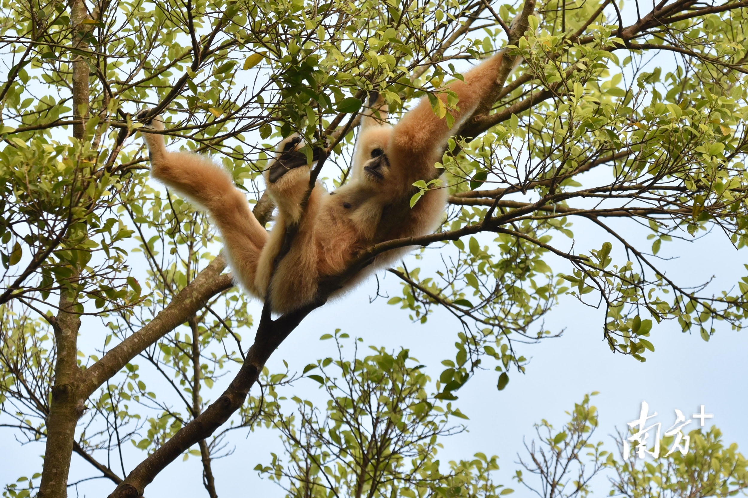    南方+ 朱洪波 拍摄
