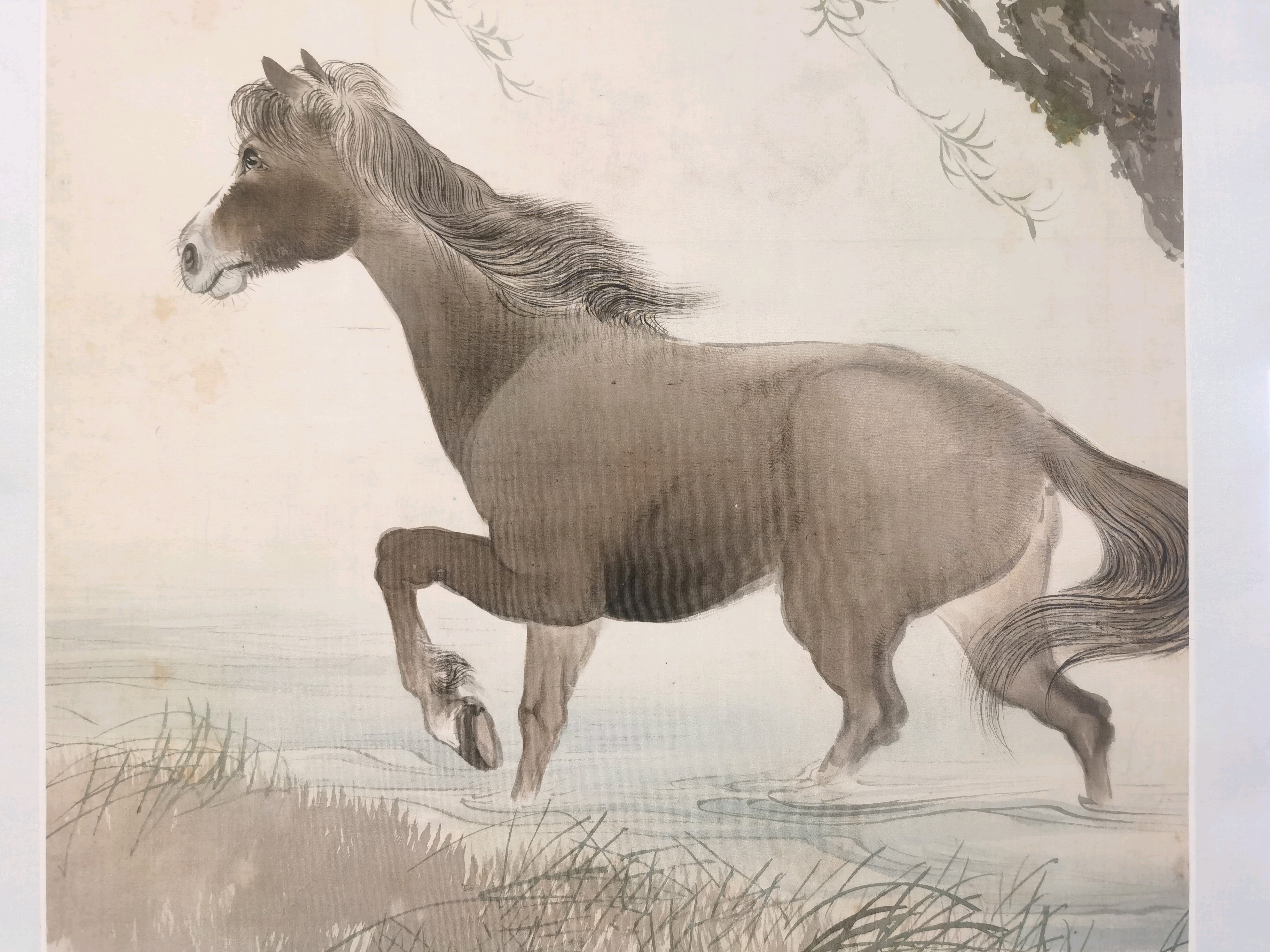 1 南方+ 郭悦 拍摄