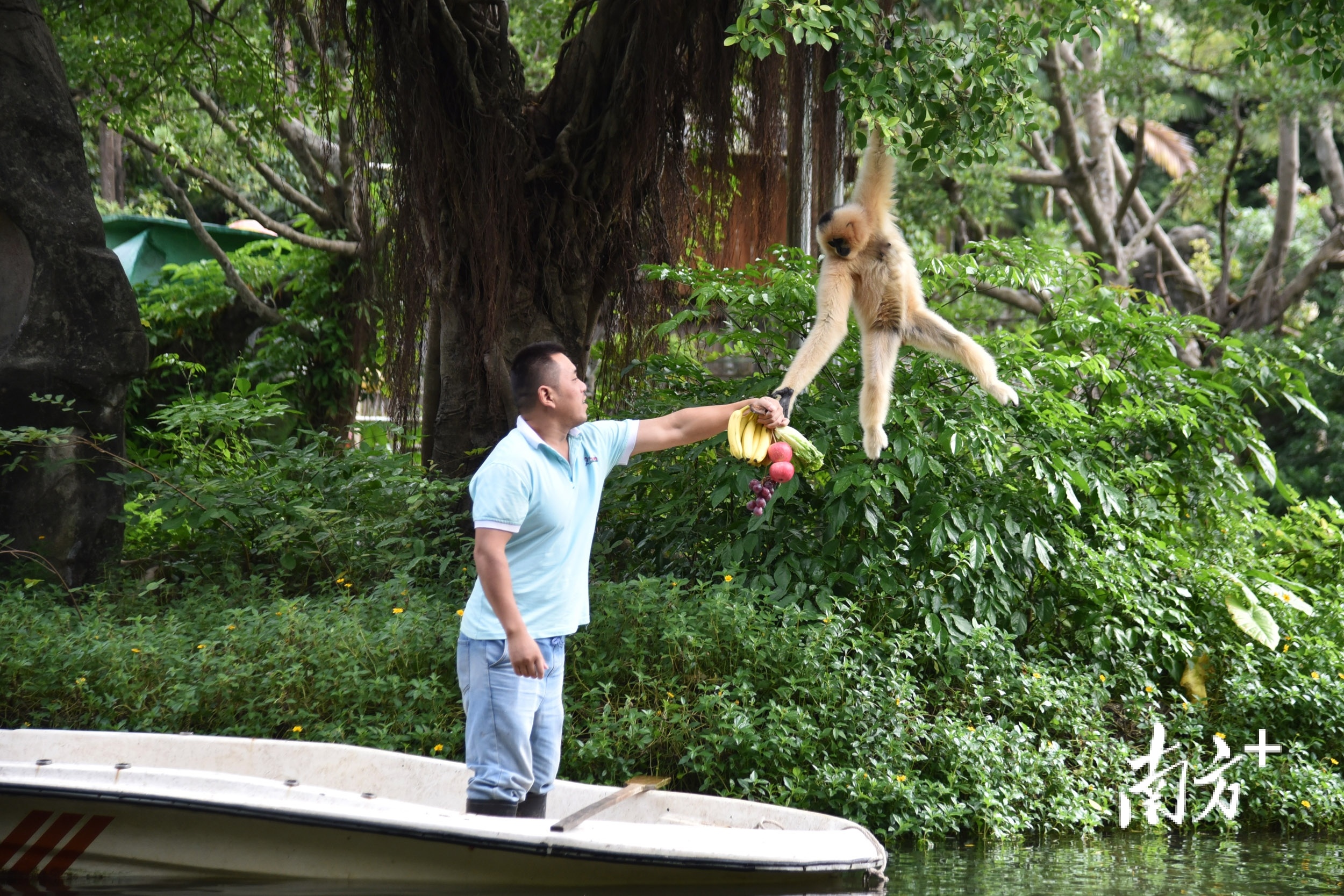    南方+ 朱洪波 拍摄