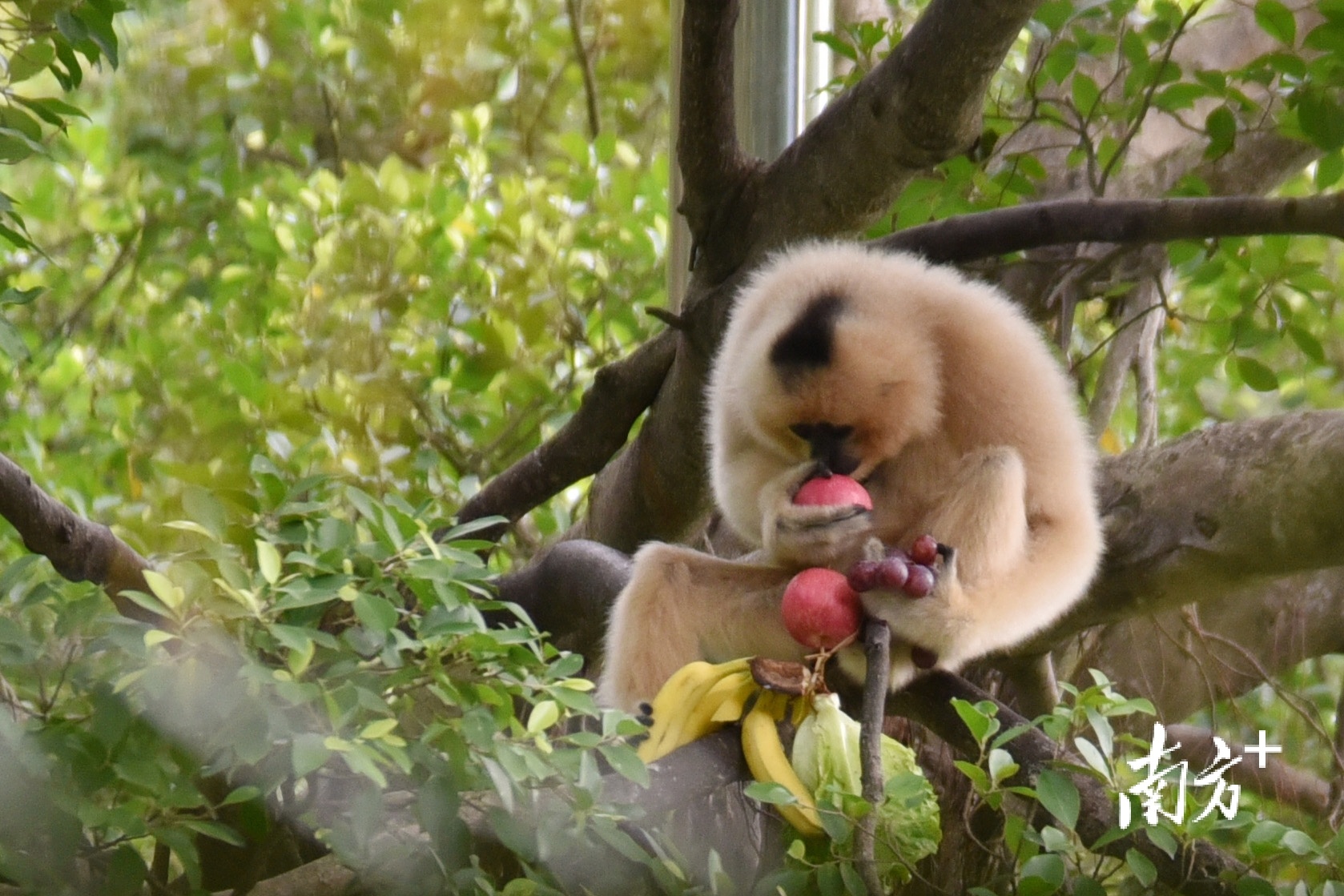    南方+ 朱洪波 拍摄