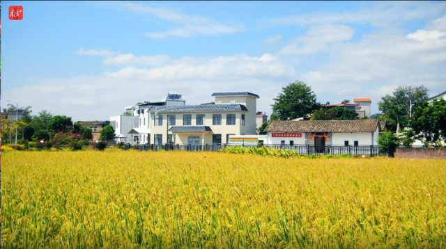 视频|大美河源好风光