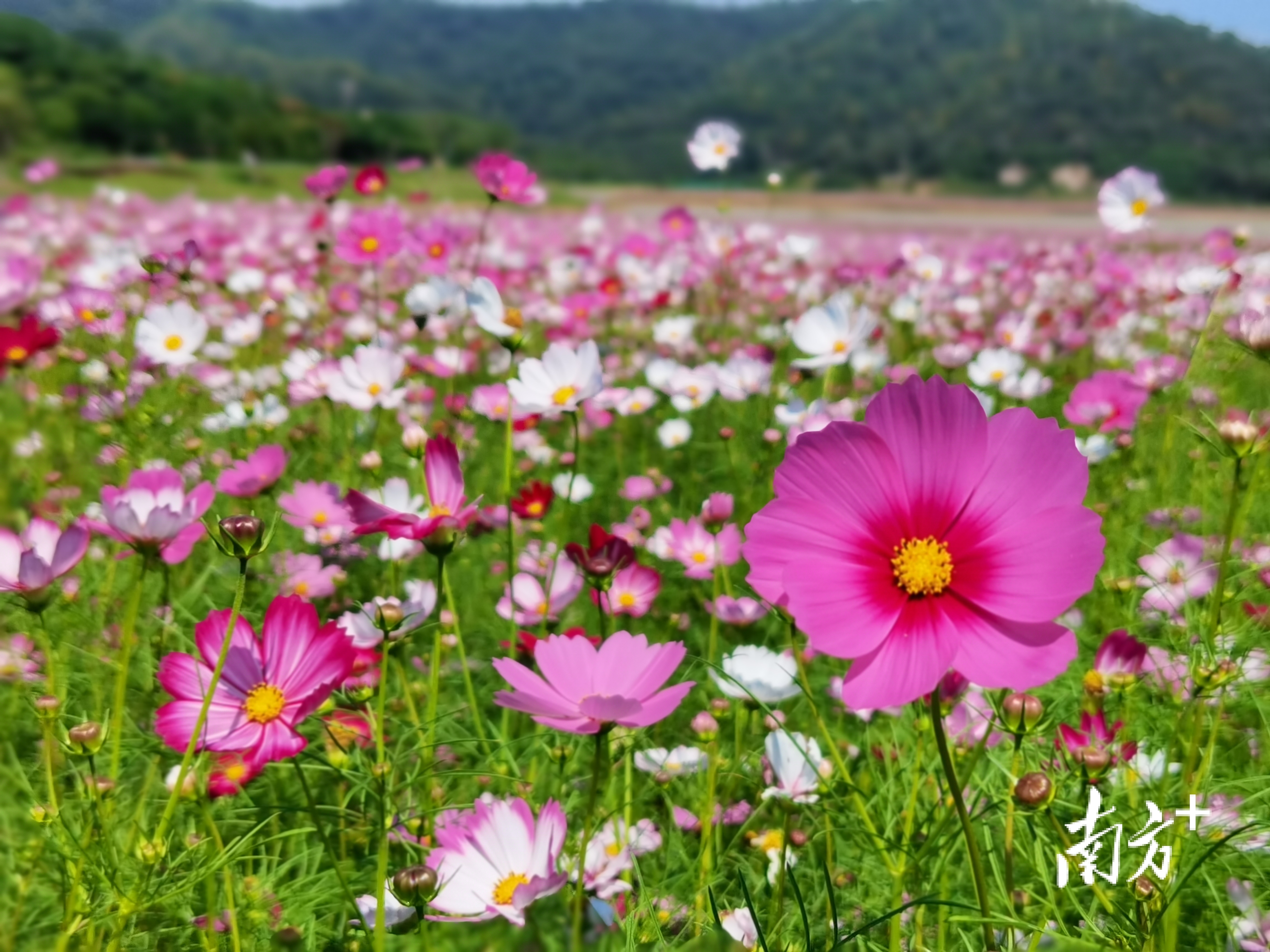    南方+ 韦基礼 拍摄