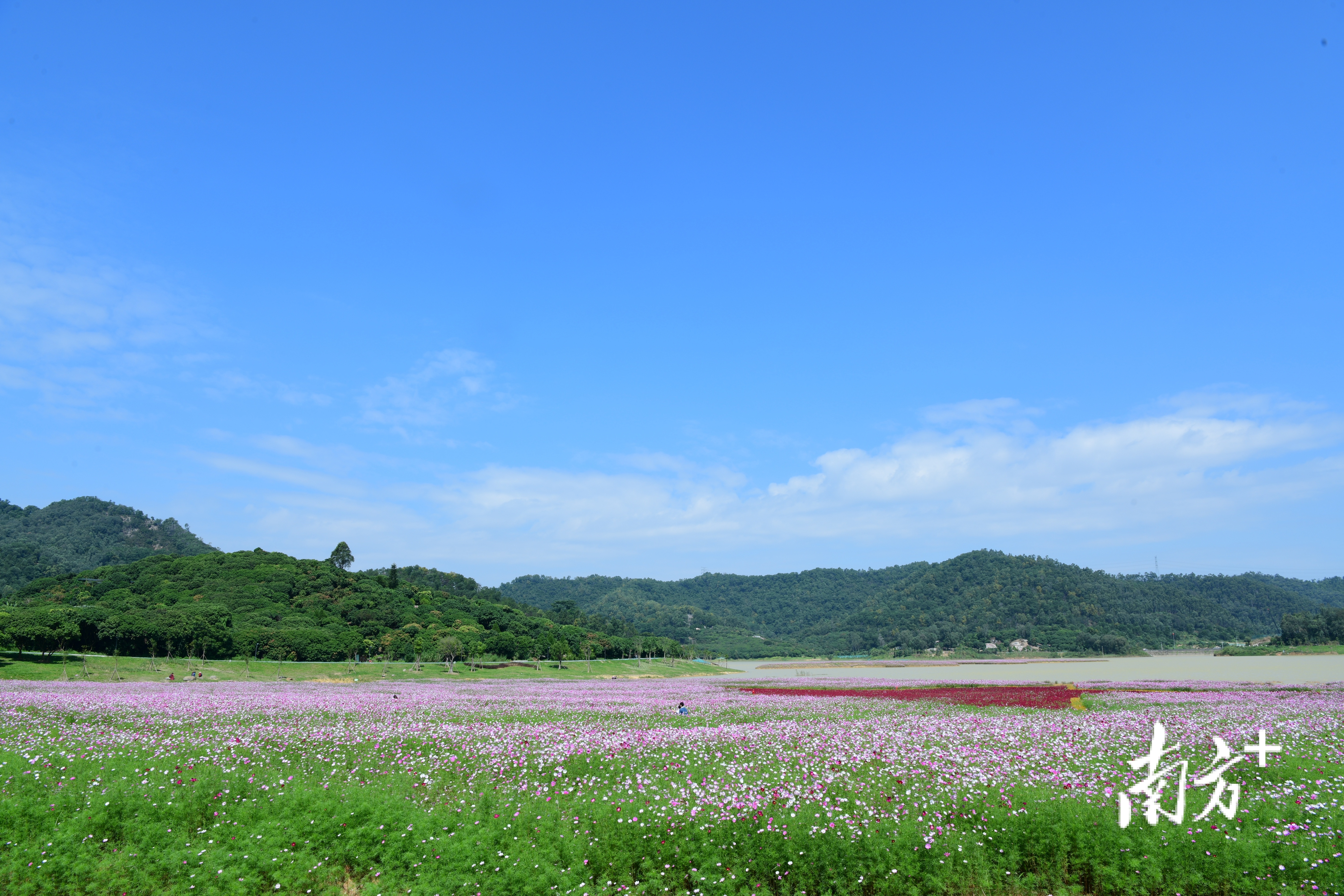    南方+ 韦基礼 拍摄