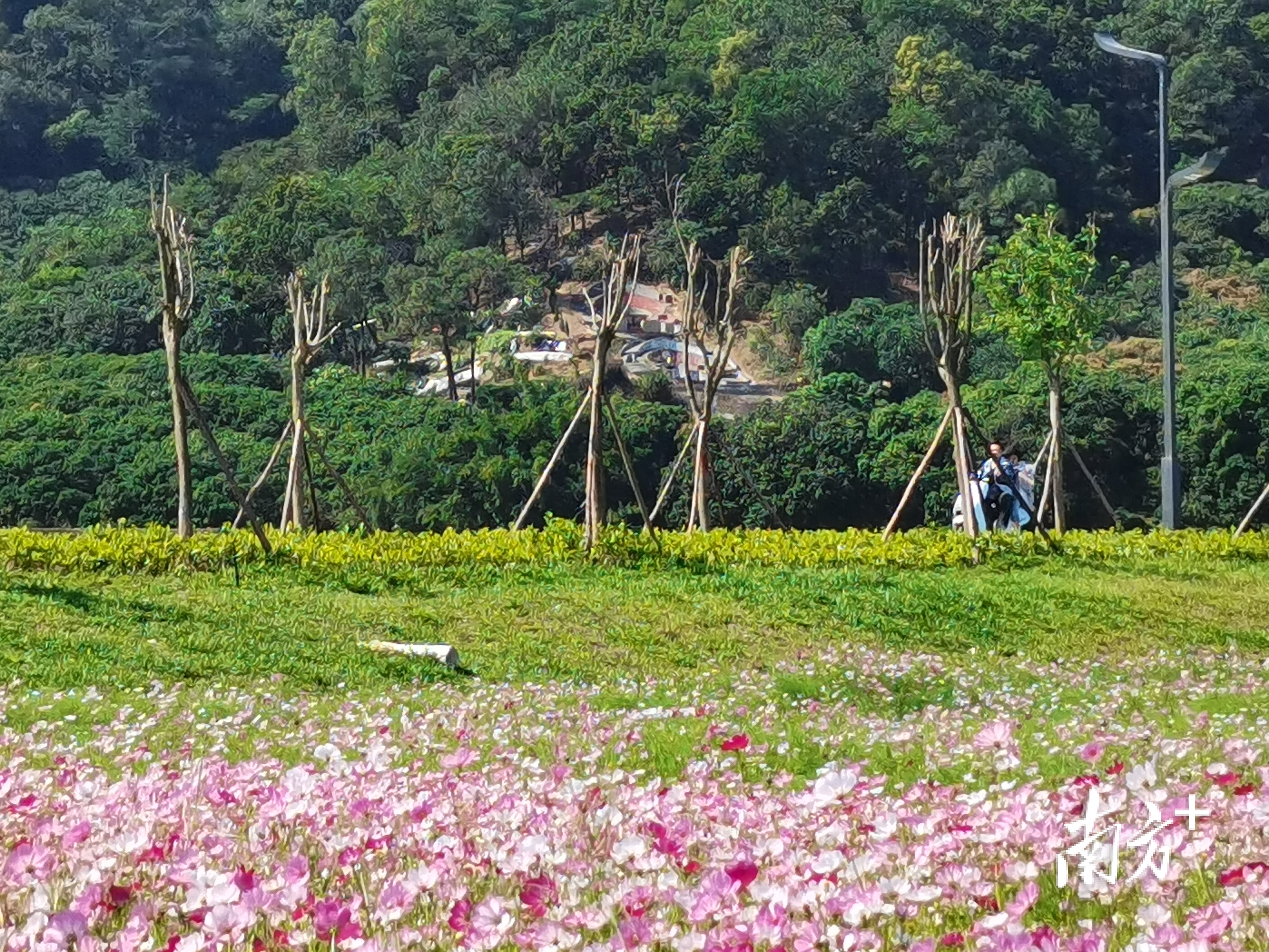    南方+ 韦基礼 拍摄