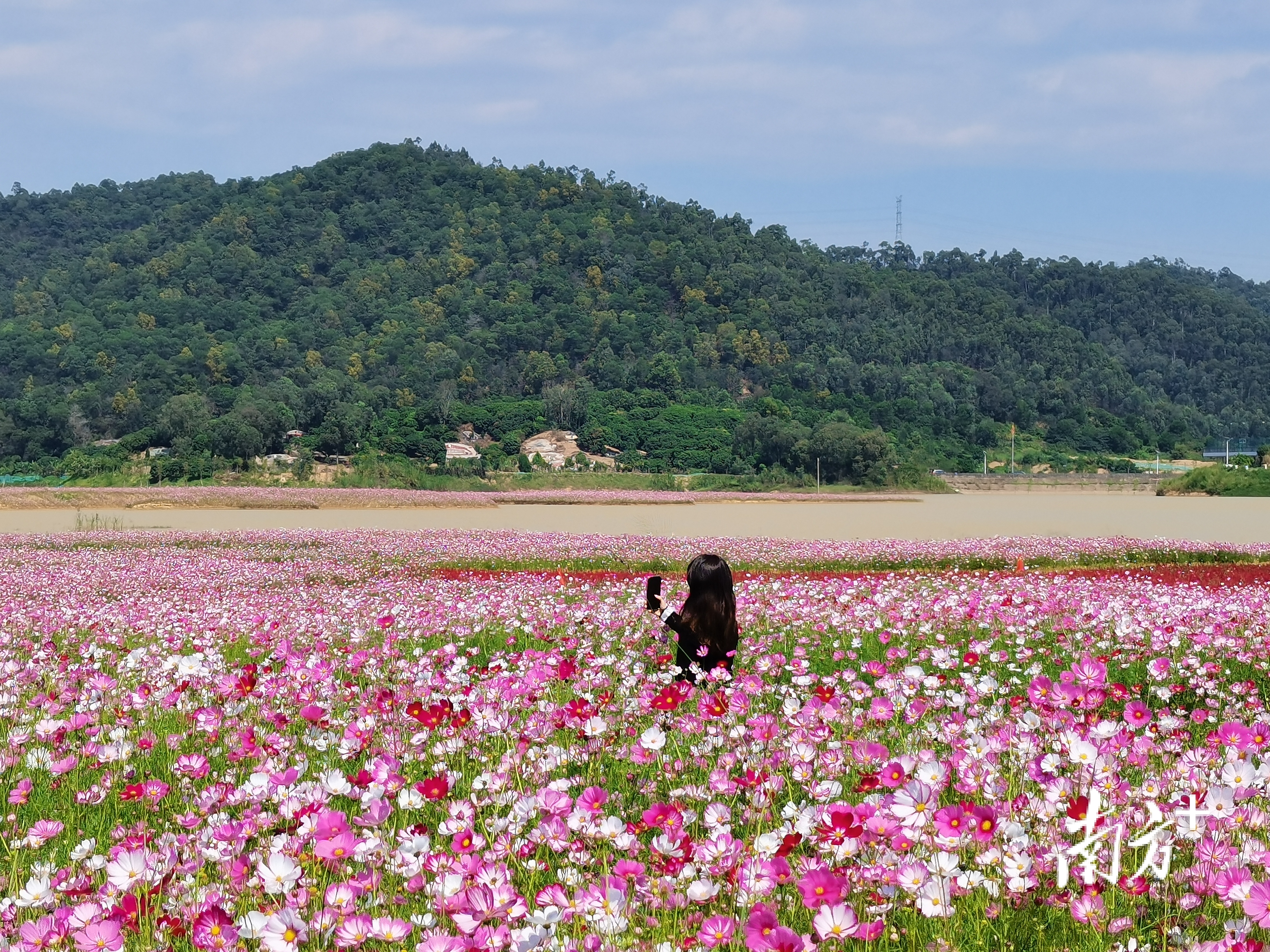    南方+ 韦基礼 拍摄