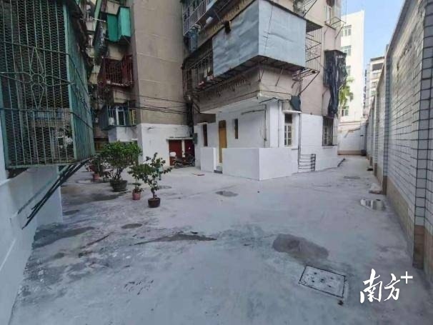 南方+ 陈树洁 拍摄