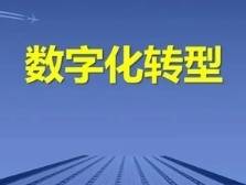 奥丽侬董事长何炳祥：以数智转型赋能终端升级｜数智转型 冠军先行㉝