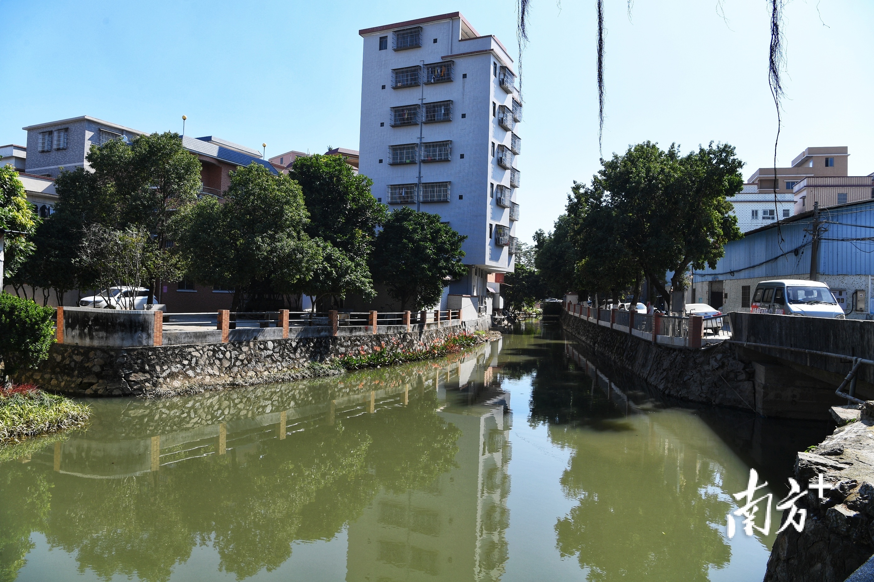 新会结合碧道建设及城市发展需要，实施堤岸修复、生态净水、活水循环、功能提升等工程。杨兴乐 拍摄