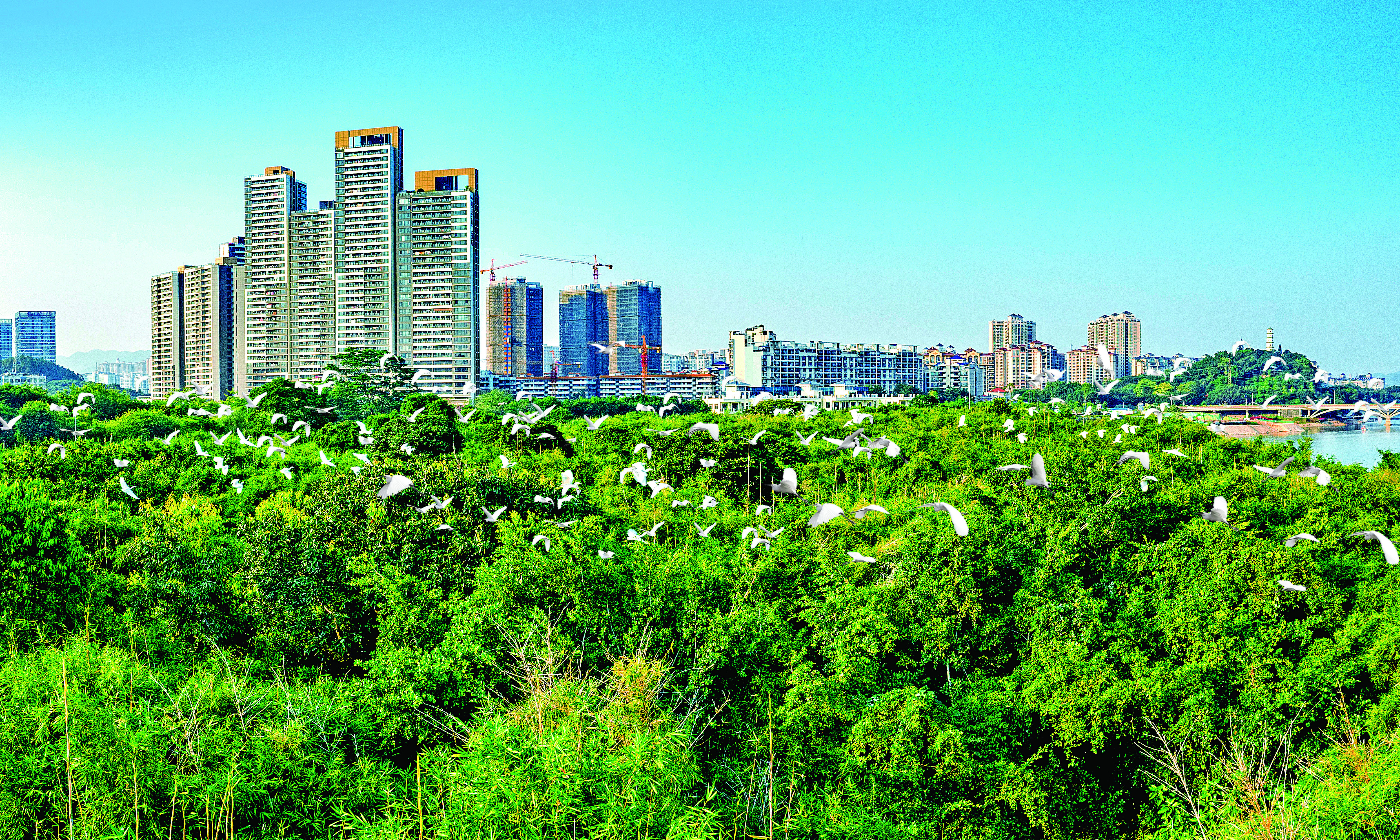 增城做强做优现代化中等规模生态城区。 增城做强做优现代化中等规模生态城区。