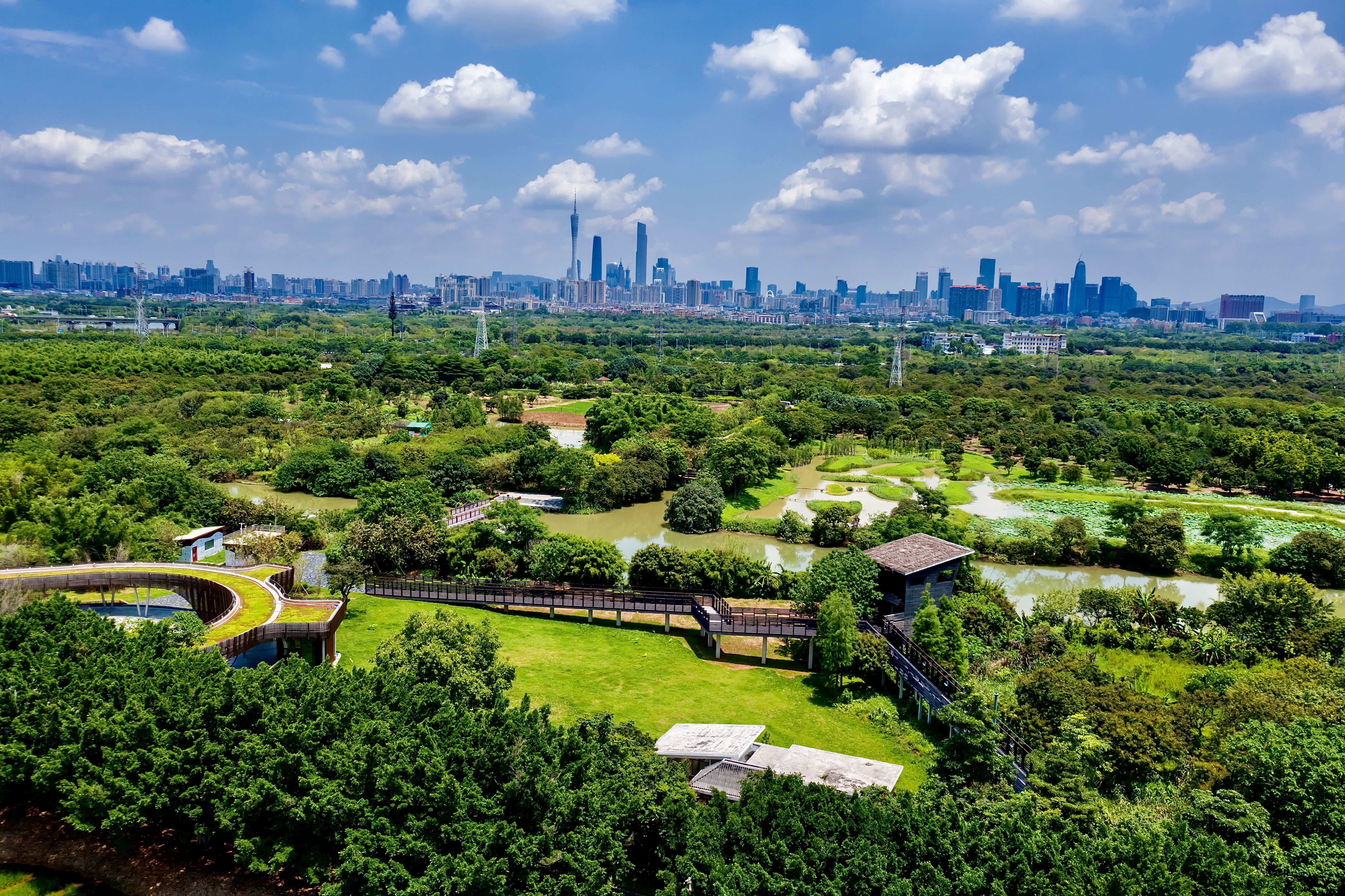 图为海珠湿地.谢惠强摄&nbsp;&nbsp