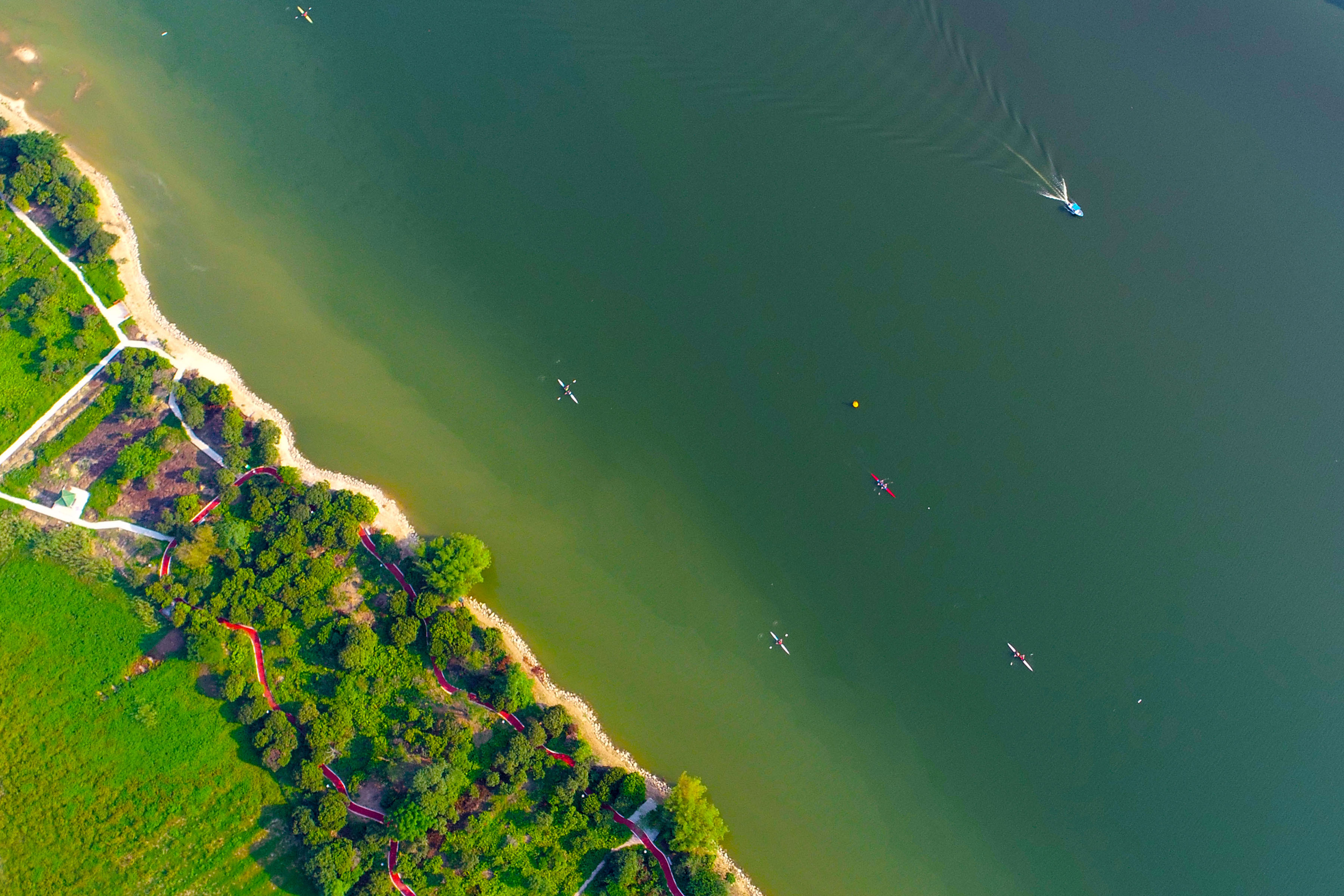 增城推动乡村高颜值生态与高质量发展、高品质生活有机统一。 增城推动乡村高颜值生态与高质量发展、高品质生活有机统一。