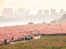 杨军：确立芦苞新坐标，建设产文旅融合发展名镇｜三水党代会