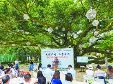 体验乡情民俗，共享自然之美