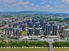 叶信标：着力打造“一镇三区”，展现大塘担当｜三水党代会