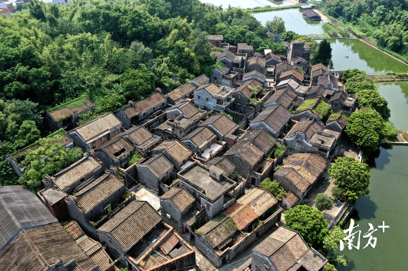 串起半部岭南史,南海丹灶这条文化水脉要打造湾区文旅新地标