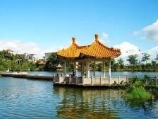 湛江“红马甲”踏遍城区大街小巷，万人入户大走访，共创文明树新风