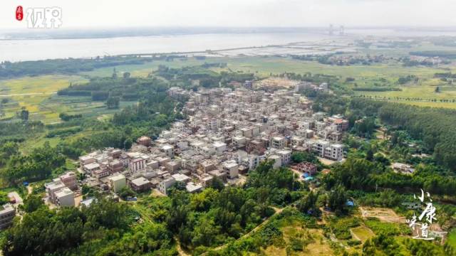 湛江市坡头区坡头镇塘尾村,村民们纷纷住上了"蚝"宅.