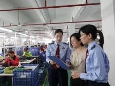 汕头税务：“税力量”助力外贸企业减负担稳发展