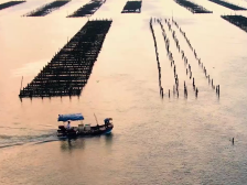 从打工仔到创业者，90后湛江青年靠蚝“出圈”| 小康味道