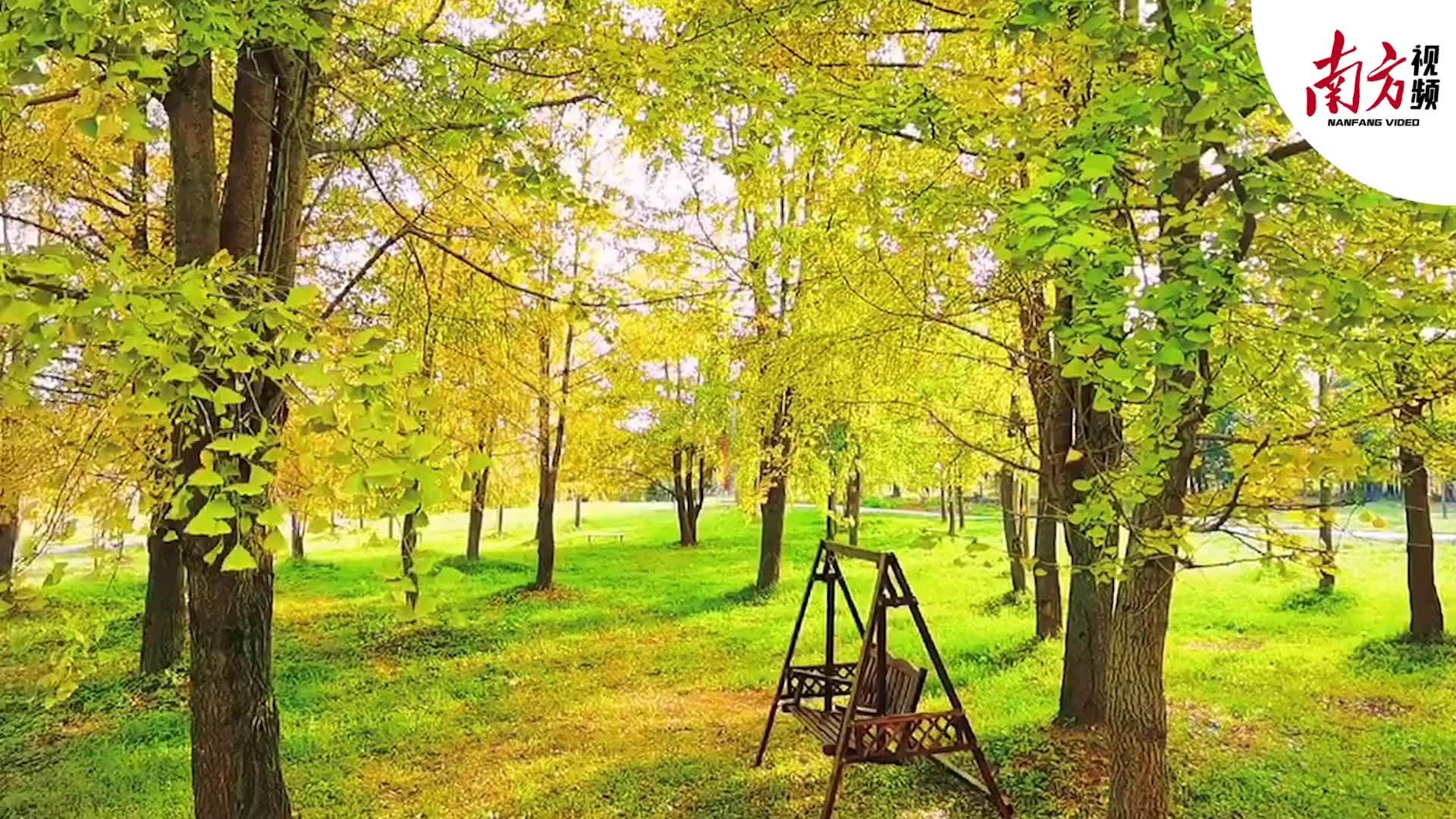 南方拍客看广东|一周精选 霞光微妙 秋色尽染