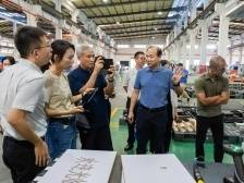 伦教机械：一个企业群落的突围记｜品质革命 集群战法㉖