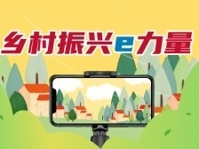 “双11”时间！阿里、抖音、拼多多、京东纷纷出新招推农品上行丨乡村振兴e力量⑨