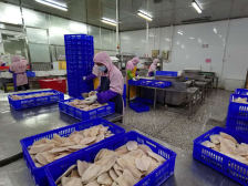 前三季度电白八项主要经济指标排名全市第一