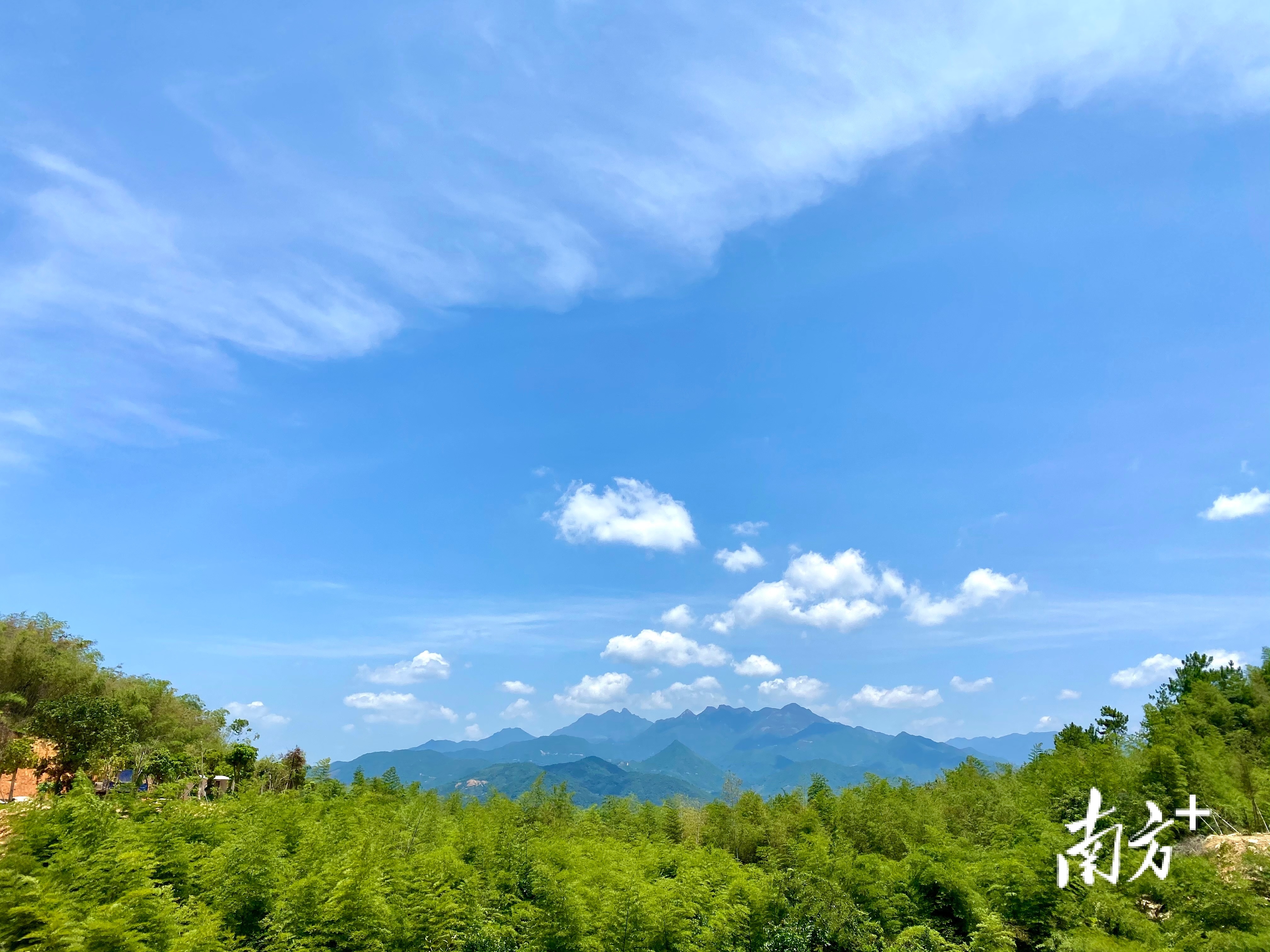 截至2021年1月4日，潮州全市现有畲族户籍人口2920人，分布在3个县（区）的9个聚居村，散落在凤凰山脉的山区。 肖燕菁 摄