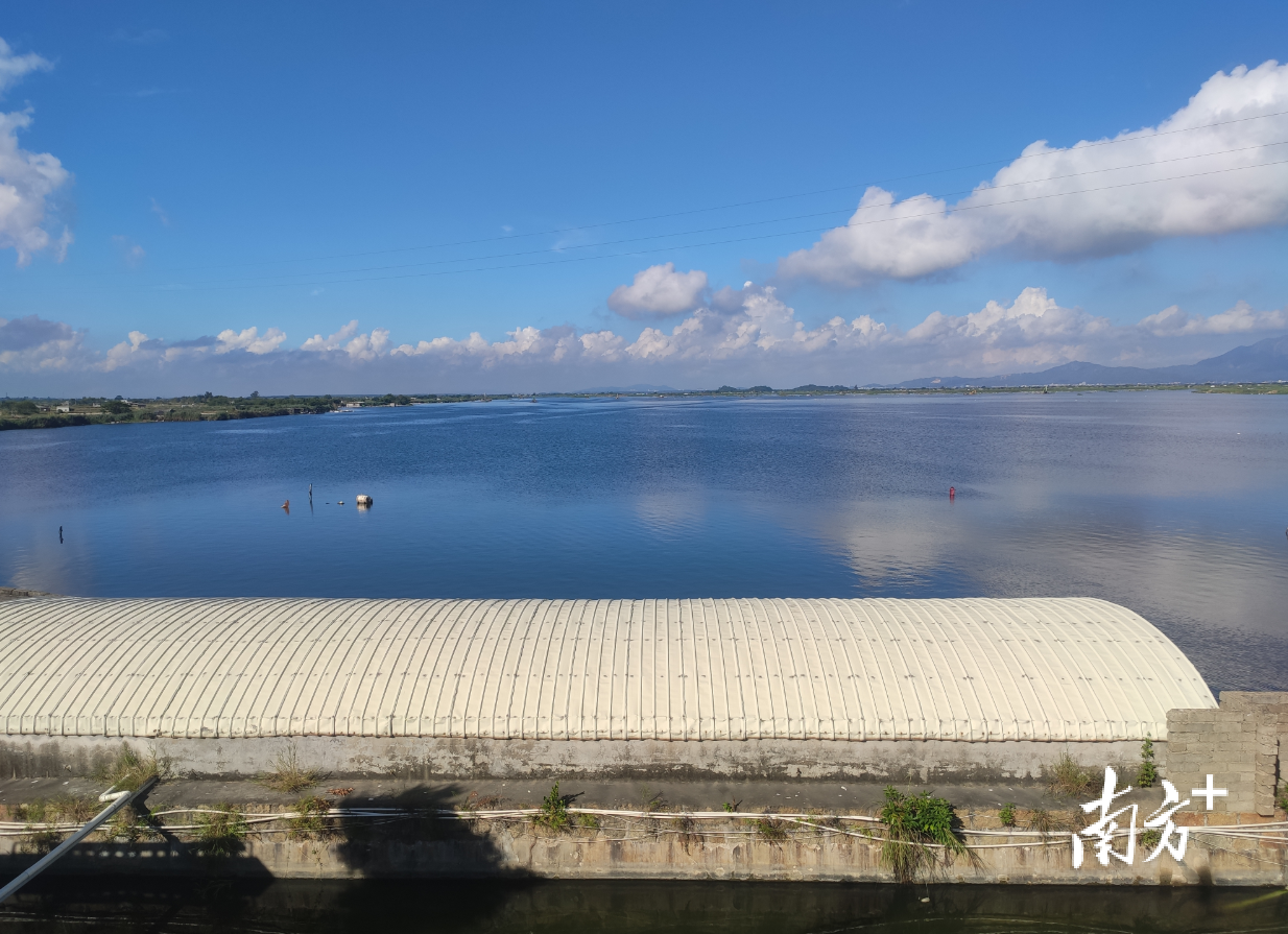 澄饶联围综合整治前后。受访单位供图