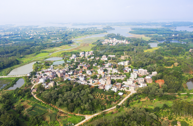 红橙飘香季，湛江美丽乡村入画来