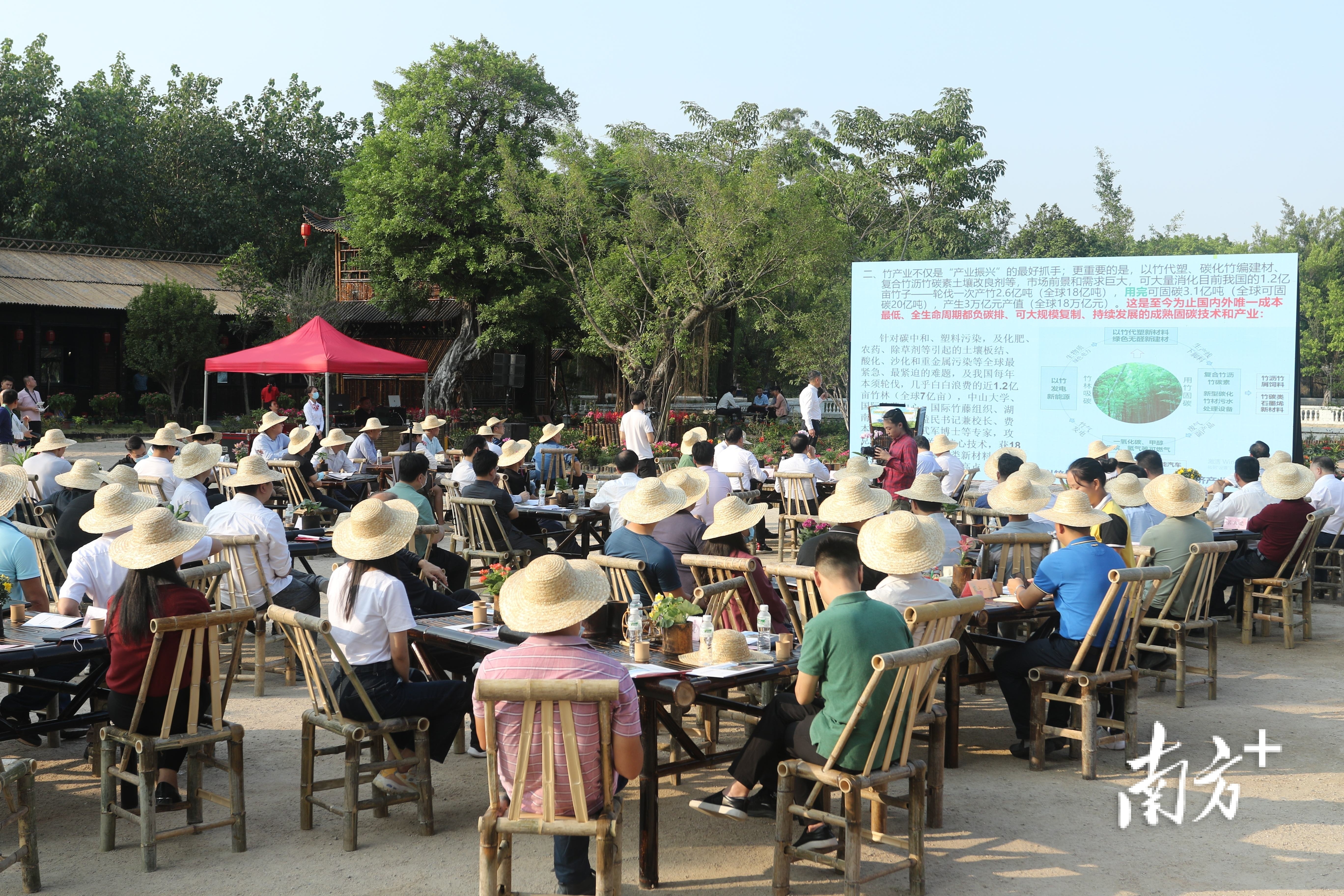 11月4日,潮州市党建引领乡村振兴第三期“潮农路演”暨竹产业发展推进会举行。黄敏璇 摄 11月4日,潮州市党建引领乡村振兴第三期“潮农路演”暨竹产业发展推进会举行。黄敏璇 摄