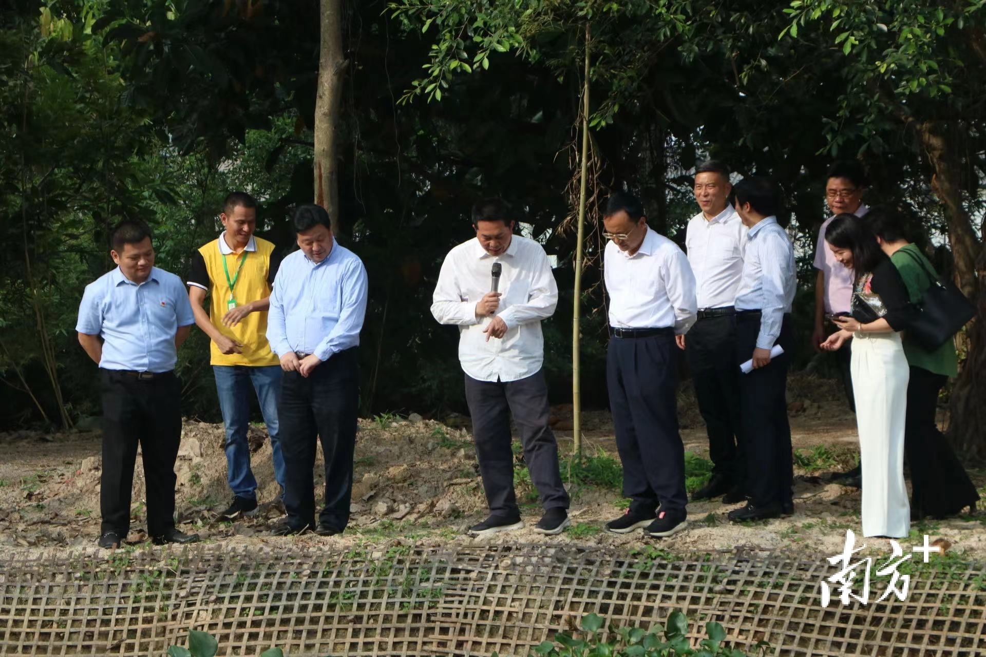 南方+ 纪金娜 拍摄