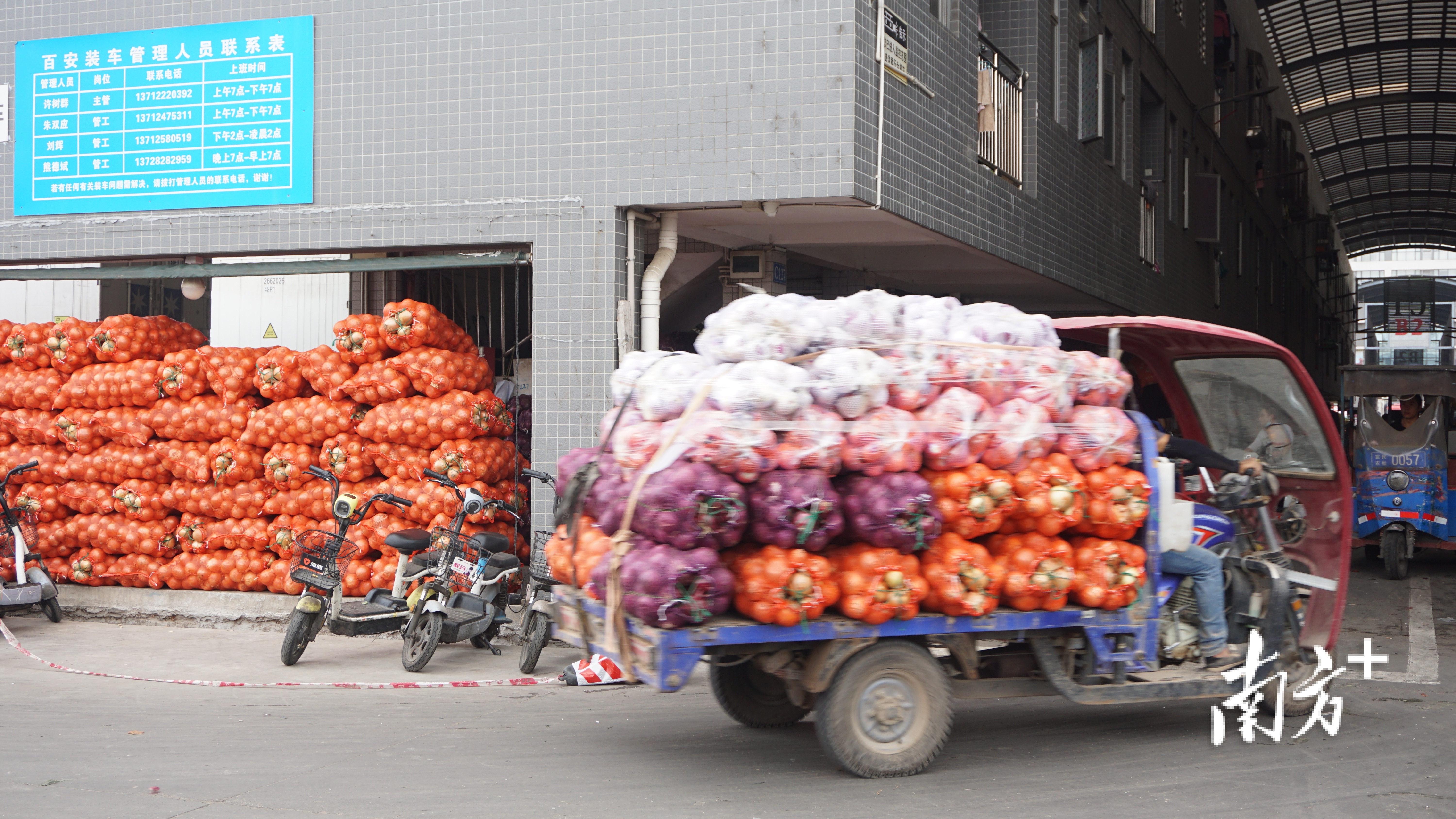 价格回落滨海湾沙角半岛这家农批市场日均销售蔬菜9000多吨