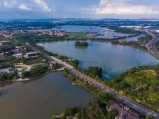 从“全域美”到“全域富”，三水乡村振兴如何再为广东探新路？