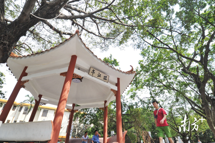 石湾湾华村沿河涌两旁整治后成为村民休闲的好去处。