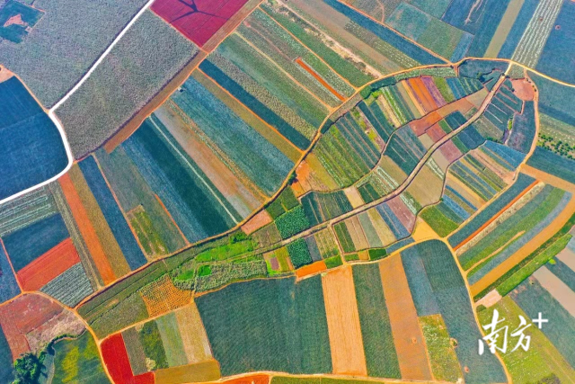 跨越雷州半岛山川湖海，遍览湛江各色美丽乡村