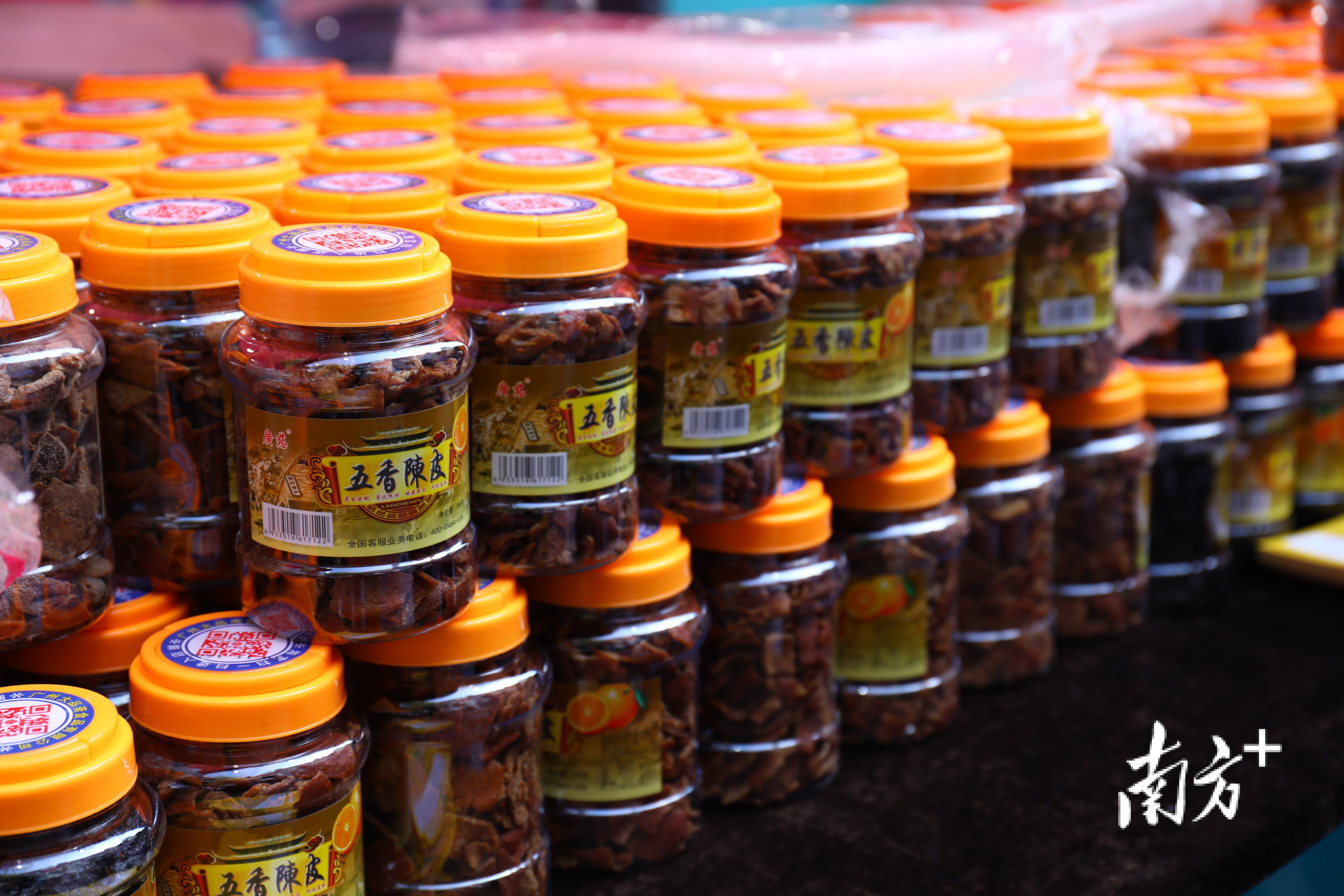 南方+ 鲁力 拍摄