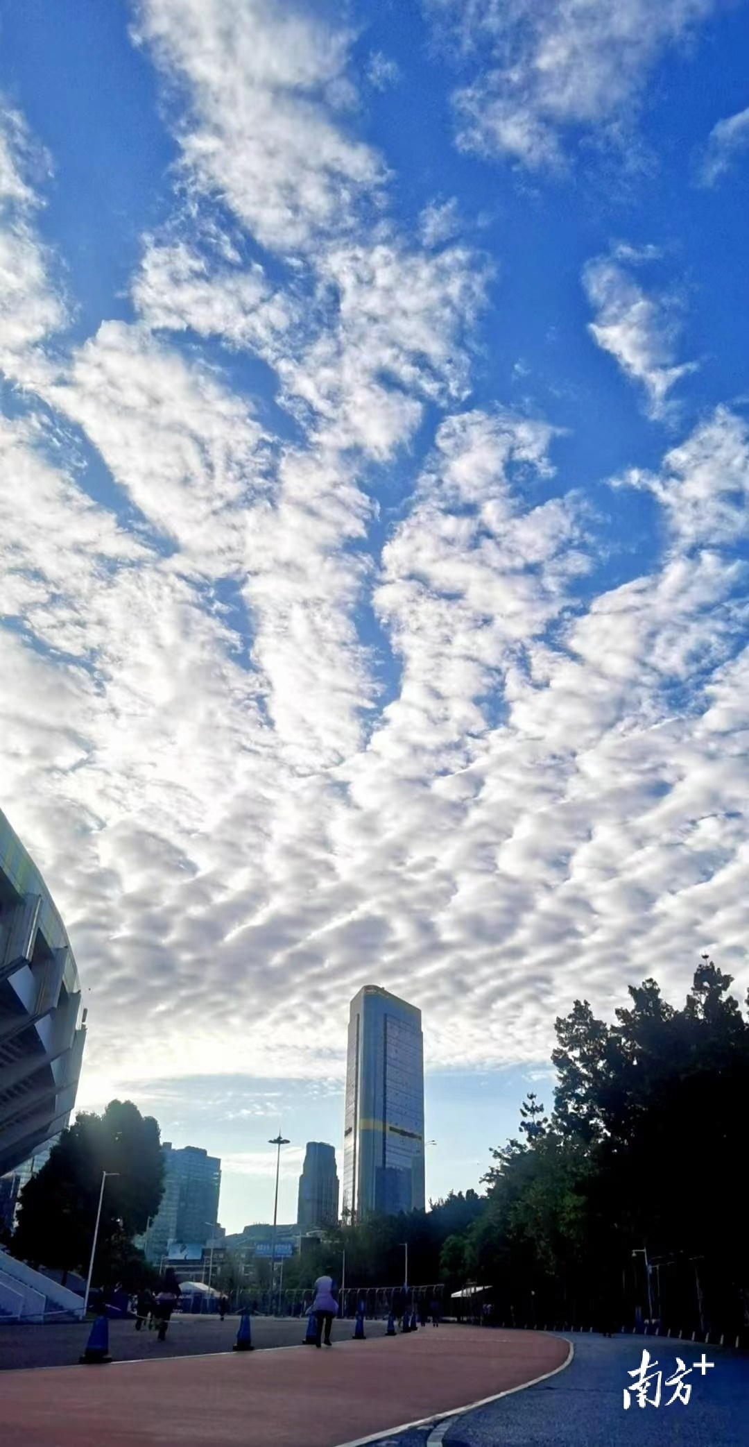 9日清晨,广州上空的鱼鳞云. 南方拍客 陈建族 供图