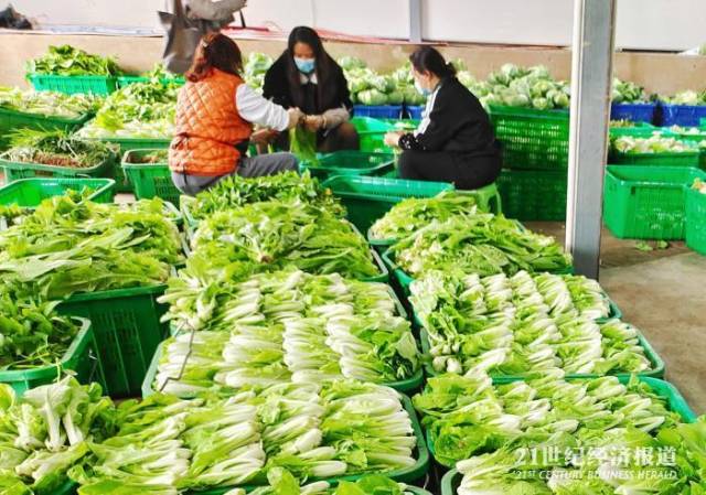 鲜创优品:引领鲜食潮流的新鲜体验