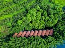 从千年古镇到湾区名城，三水如何描绘全域旅游新图景？