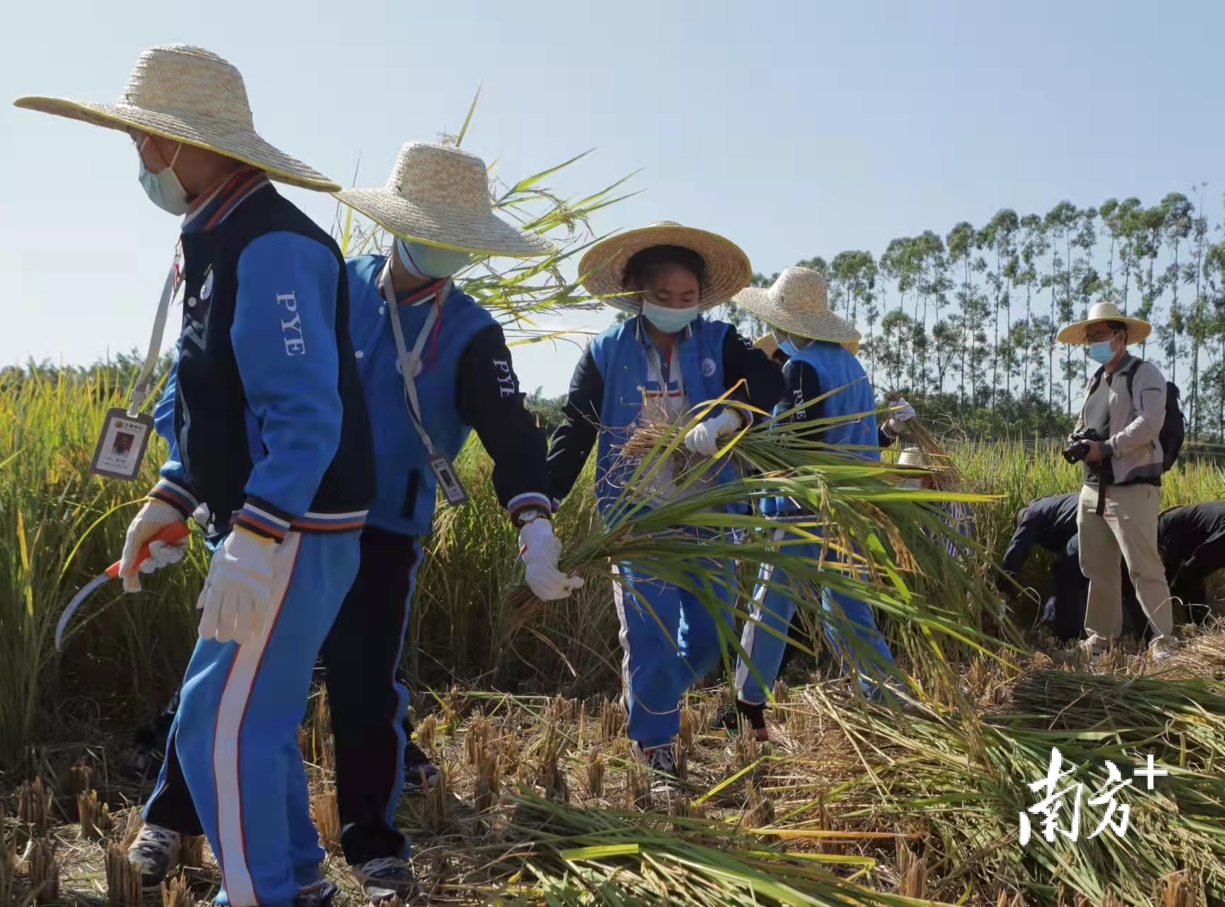 番禺区领导、农民代表、企业家代表、学生代表等70余人参加了本次活动。