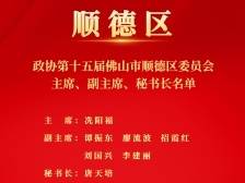 冼阳福当选为政协第十五届佛山市顺德区委员会主席｜顺德两会