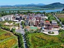 美丽景色入画来！漫步阳江，倾醉于最美的乡村